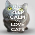 Keep Calm Love Cats Wallpapers